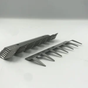 Teeth Plate